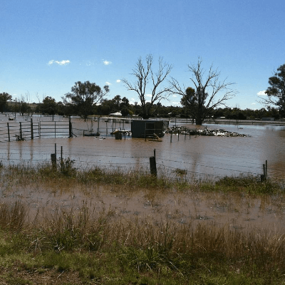Flooded farm land